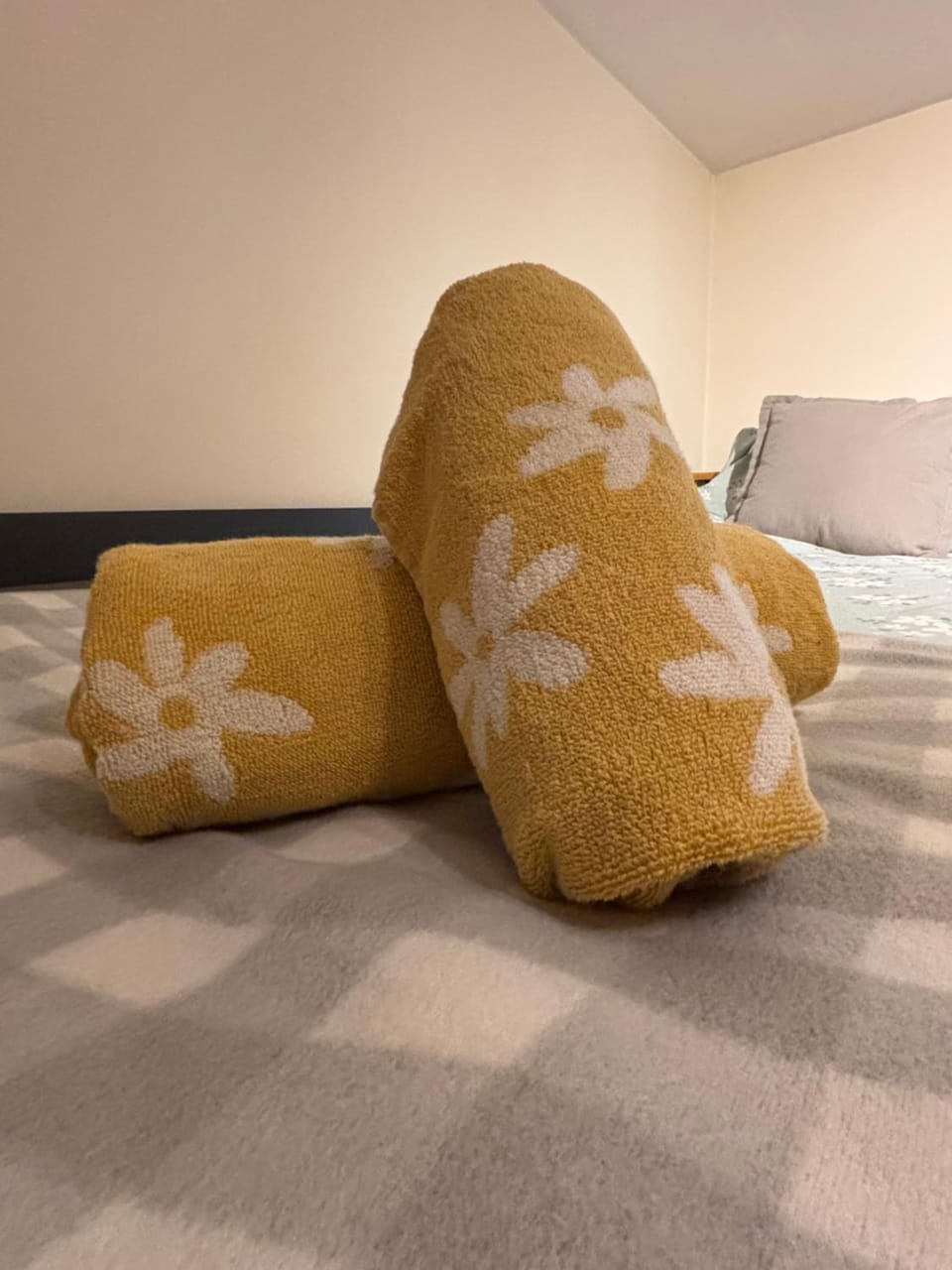 The Cozy Covert in Spondon, Derby Apartment in Derby