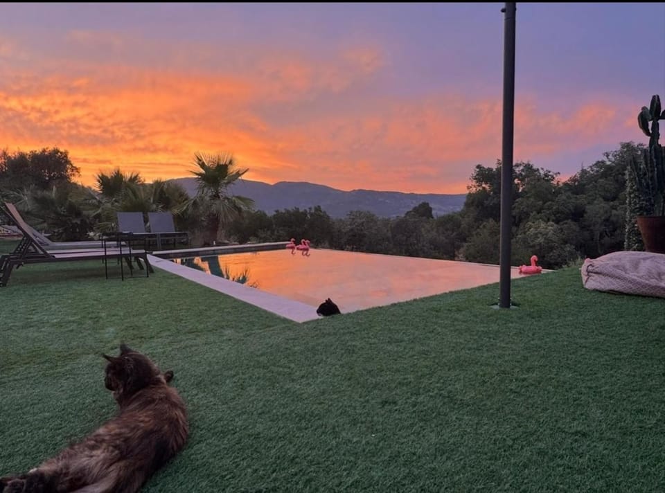 La forêt Vacation rental in Sainte-Maxime