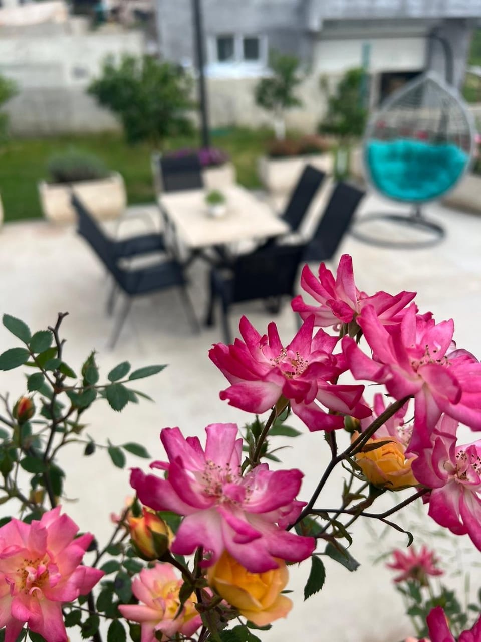 Sunny Hill - Parking - Fenced Garden - Luxury Loft Apartment in Kotor Municipality
