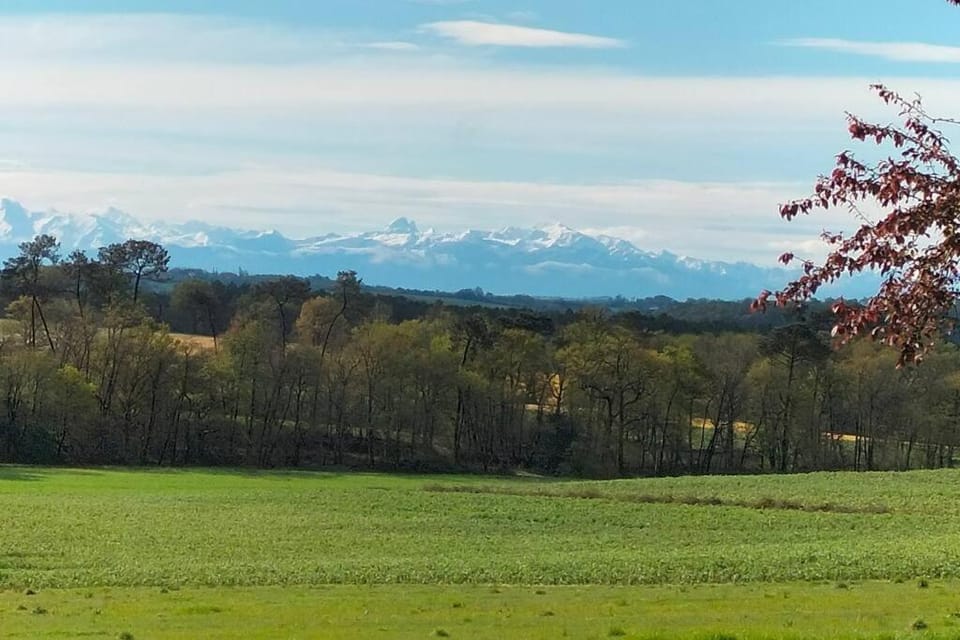 Ferme rénovée tout confort en pleine campagne House in Nouvelle-Aquitaine
