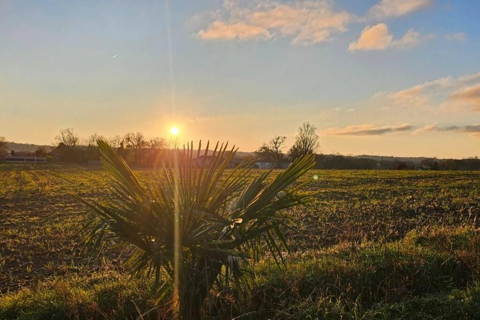 Ferme rénovée tout confort en pleine campagne House in Nouvelle-Aquitaine