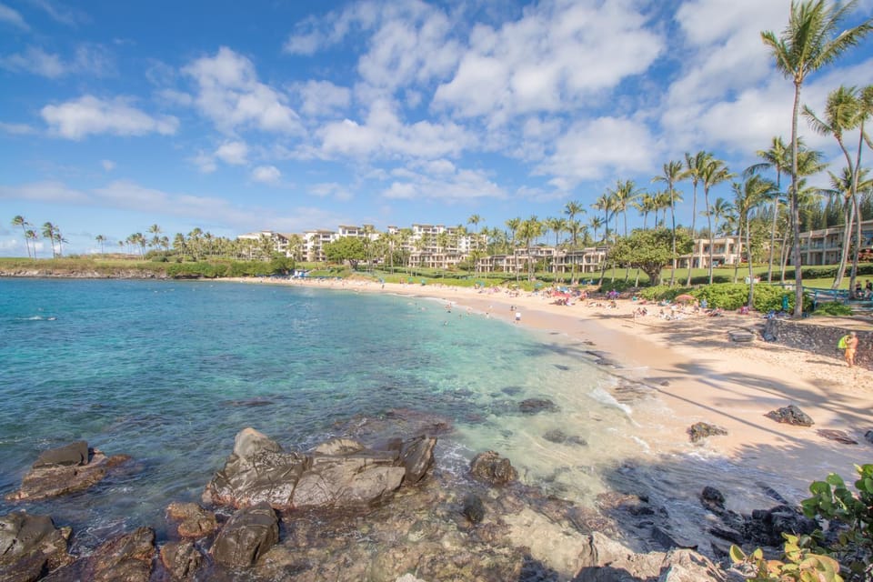 Kapalua Oasis, Ac, Ocean views - r414 - Sullivan House in Kapalua