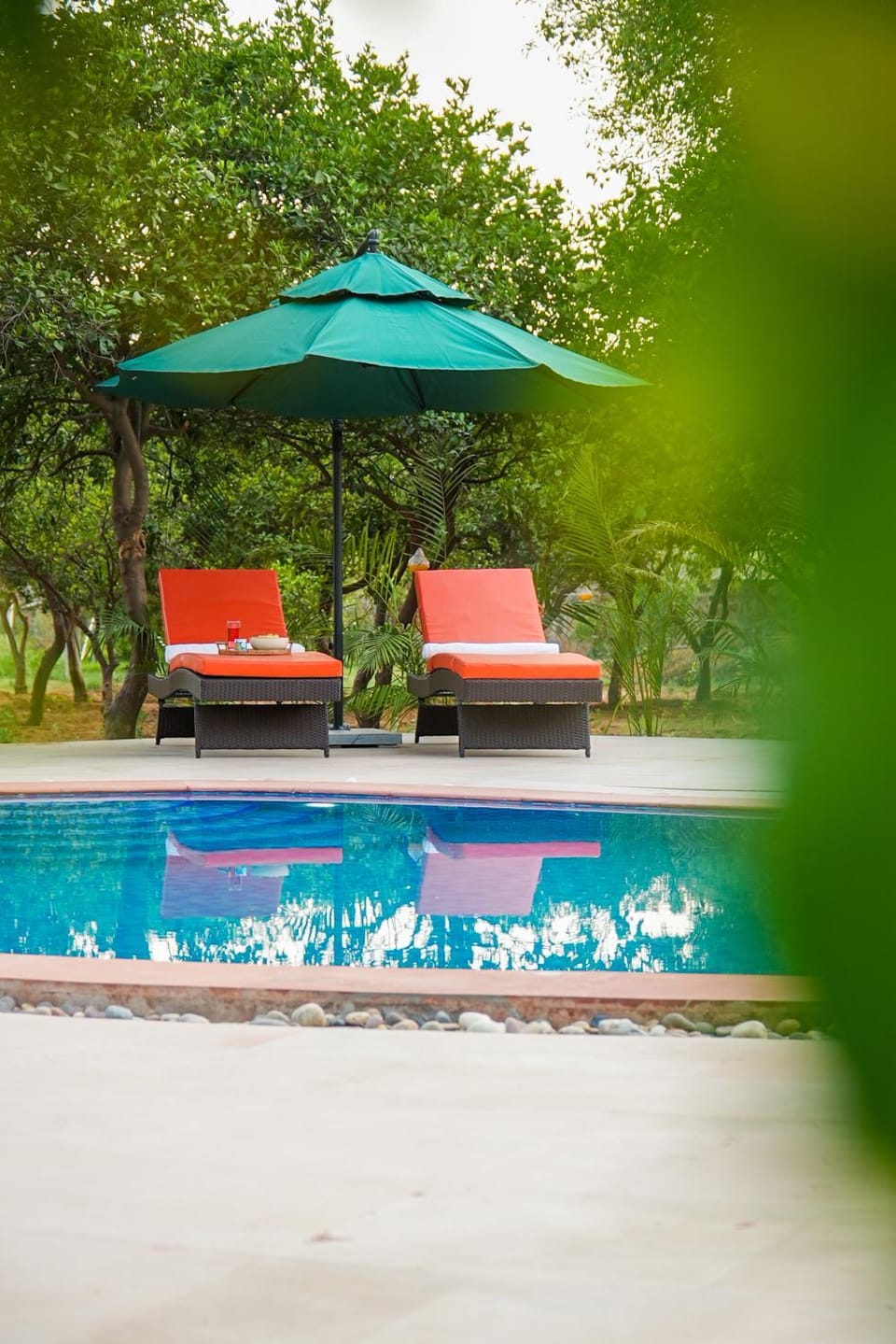 Pool view, Swimming pool