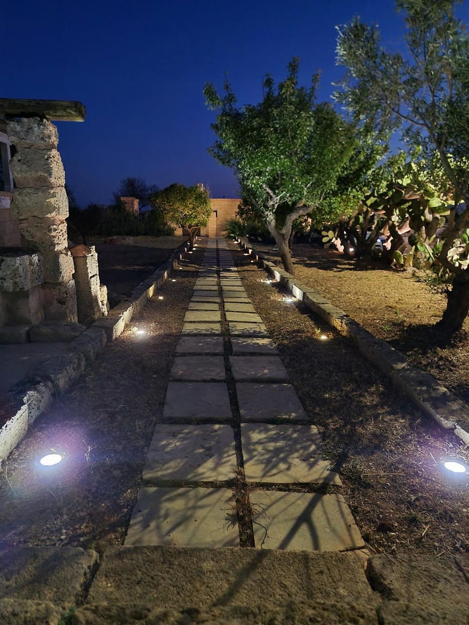 Night, Garden, Garden view