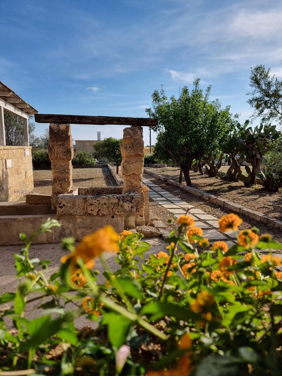 Garden, Garden view