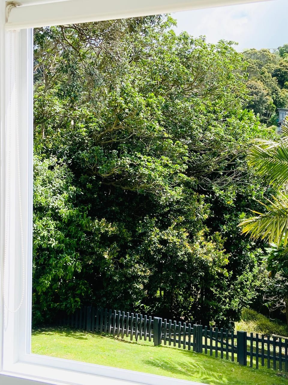 Natural landscape, Garden, Garden view