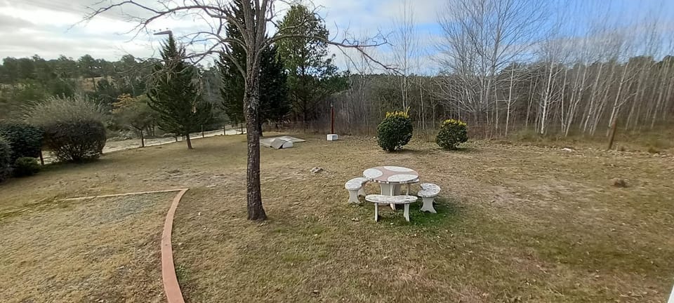 Day, Garden view