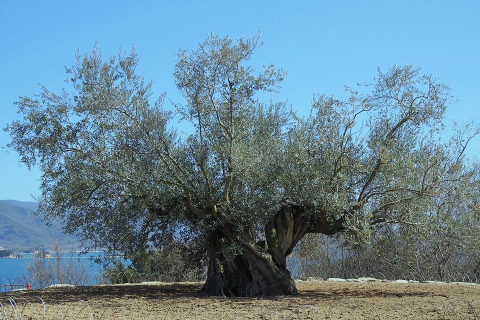 Natural landscape