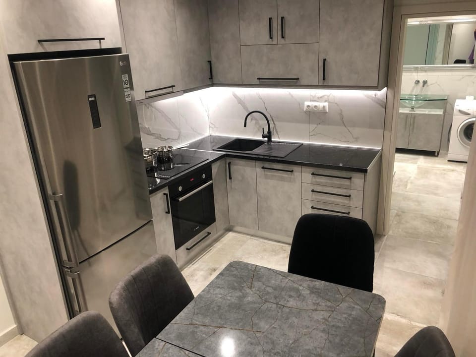 Kitchen or kitchenette, dishwasher, oven