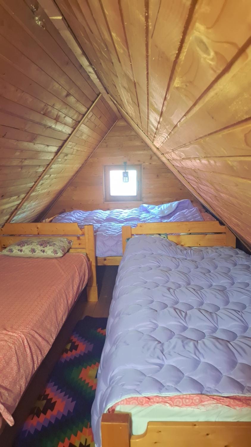 Vikendica Dani House in Serbia