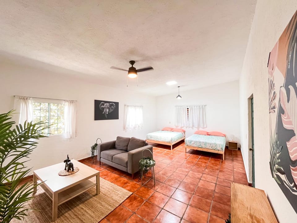 Photo of the whole room