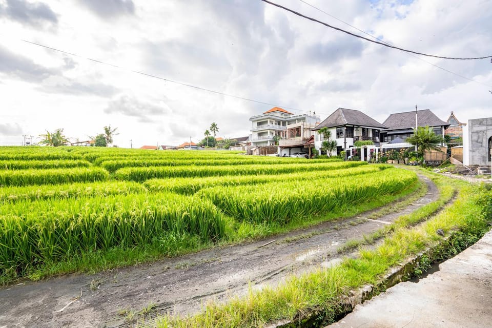 The View - Villa Elba Villa in North Kuta