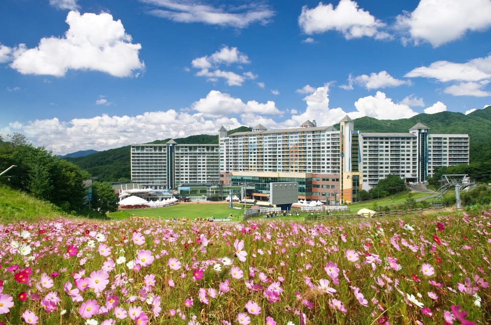 Wellihilli Park Resort Resort in South Korea