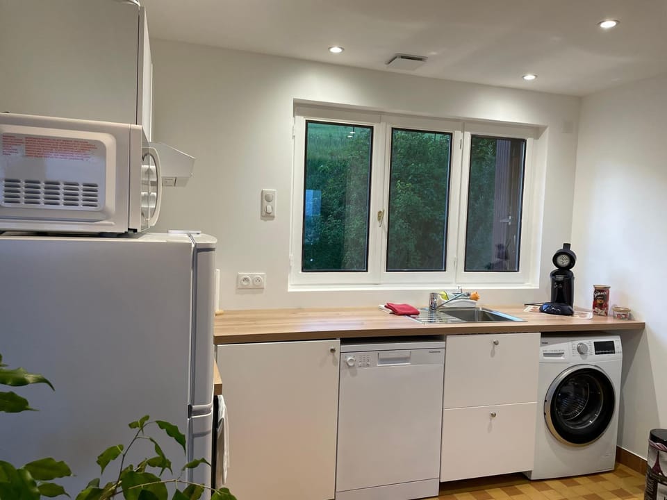 Kitchen or kitchenette, dishwasher, washing machine