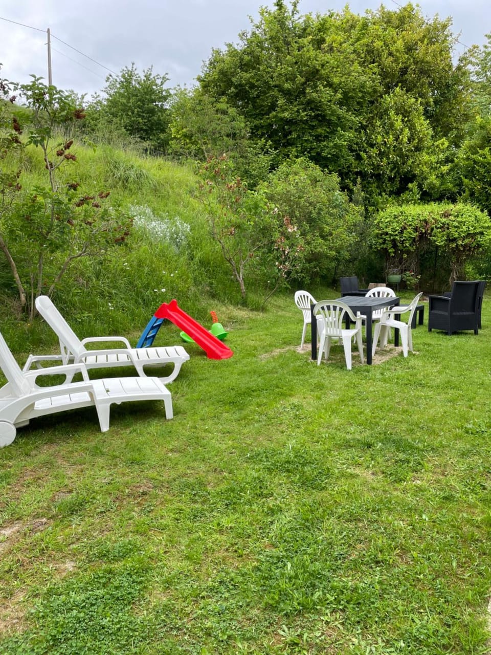 Spring, Day, Natural landscape, Garden, Garden view, sunbed