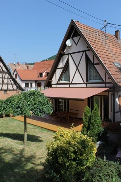 Property building, Garden, Garden view