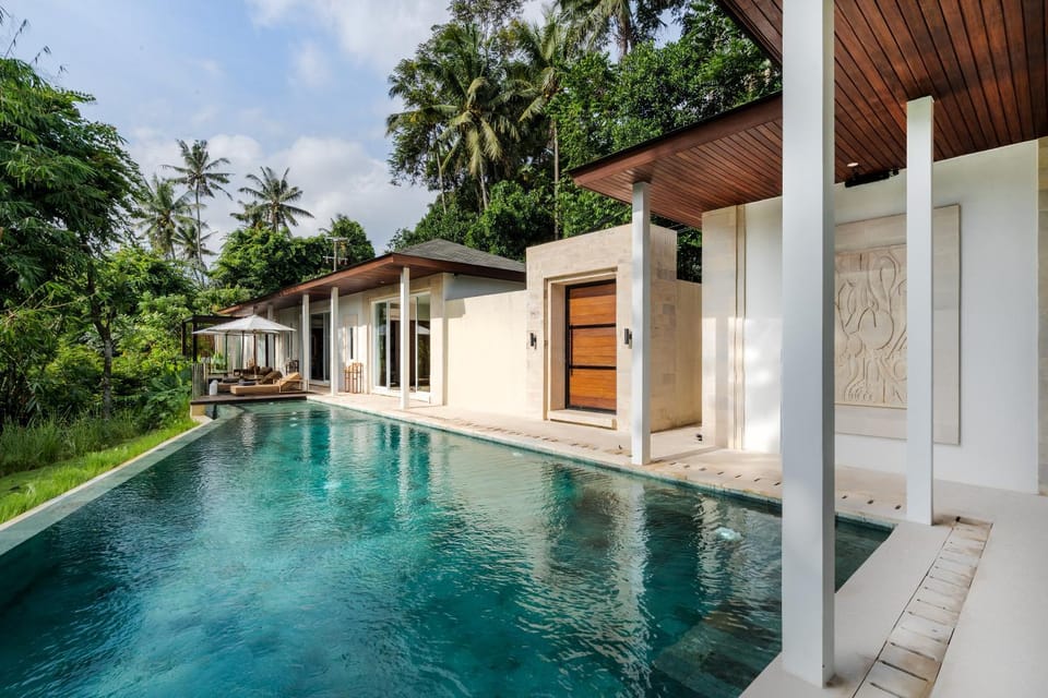 Garden, Pool view, Swimming pool, sunbed