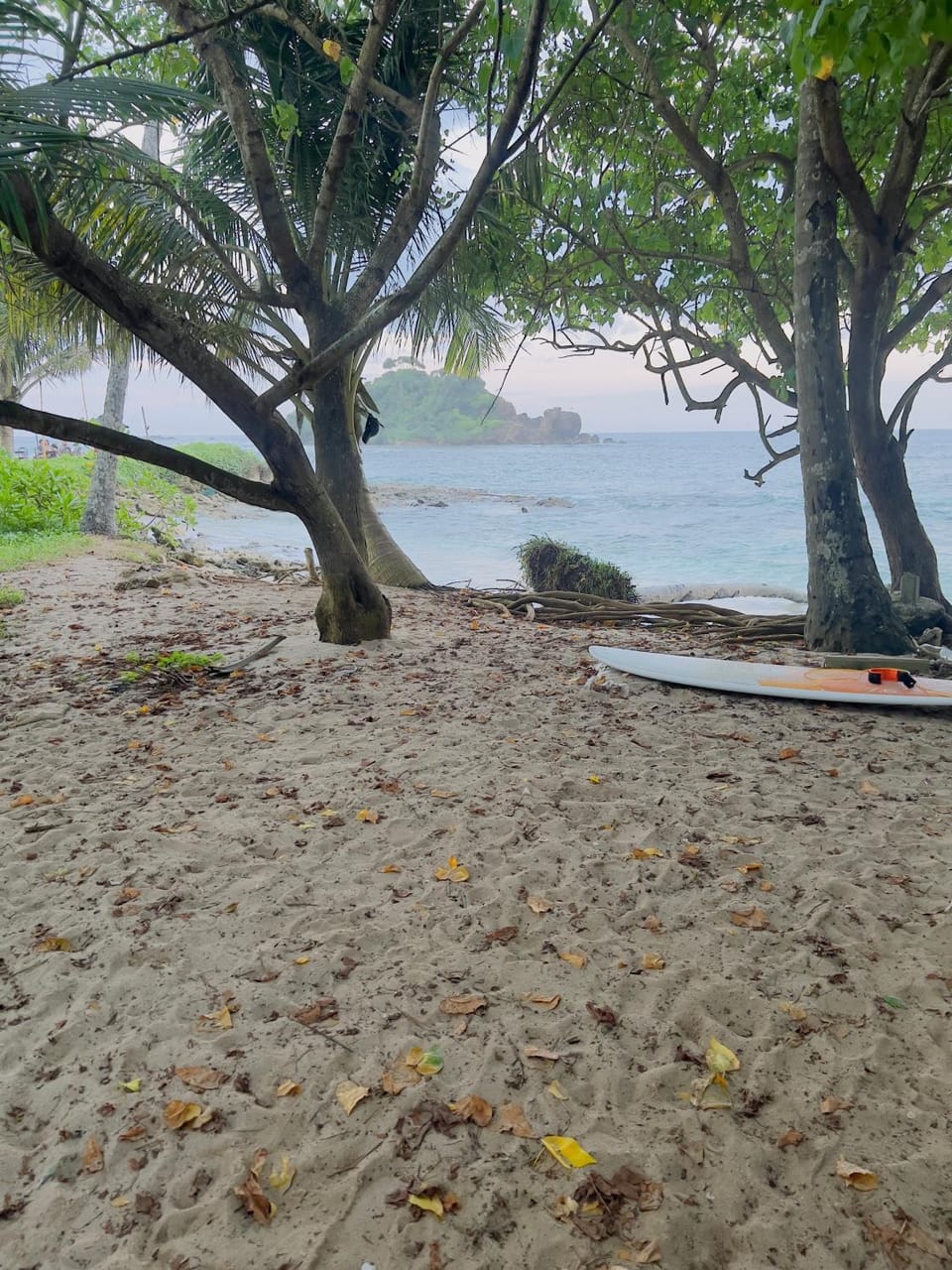 Beach