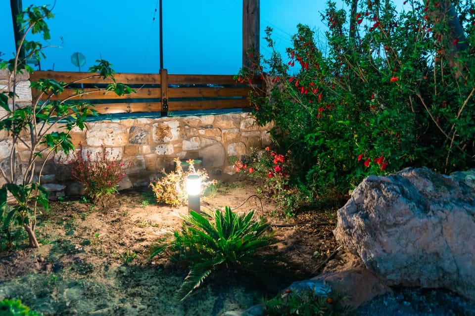Night, Garden, Garden view