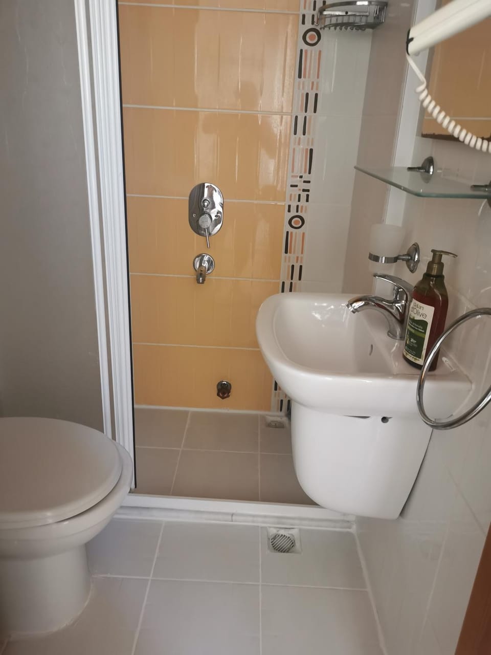 Shower, Toilet