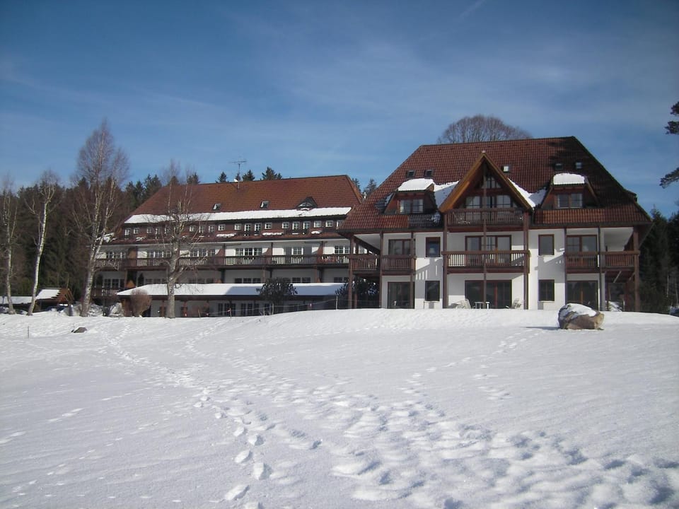 Ferienclub Erlenbruck Apartment in Hinterzarten