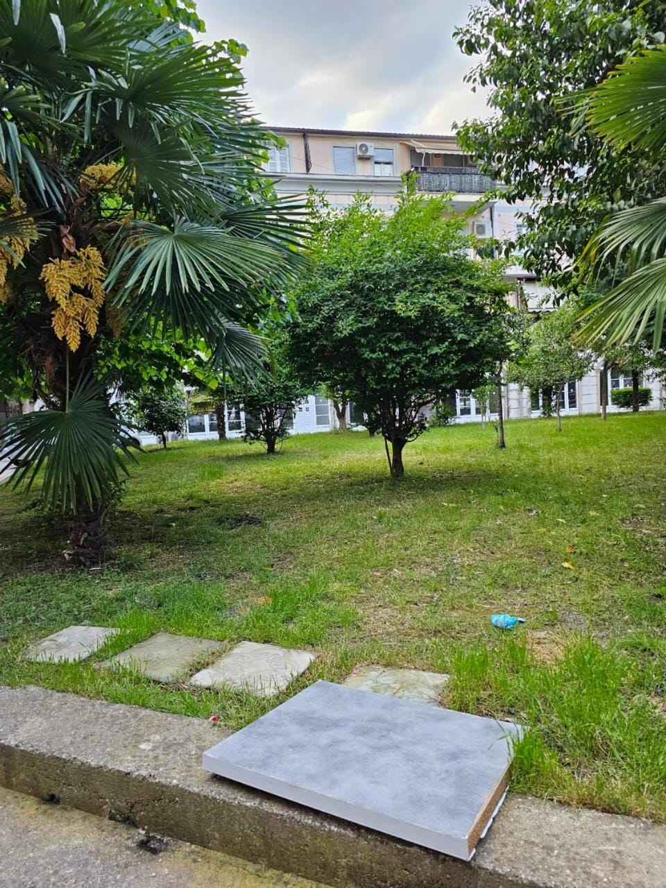 Natural landscape, Garden view
