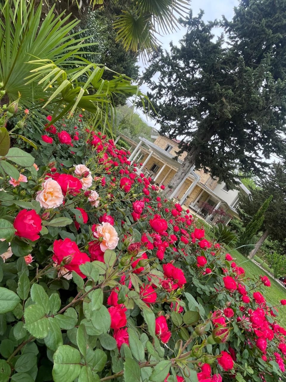 Villa Berenice silence and nature Villa in Abruzzo