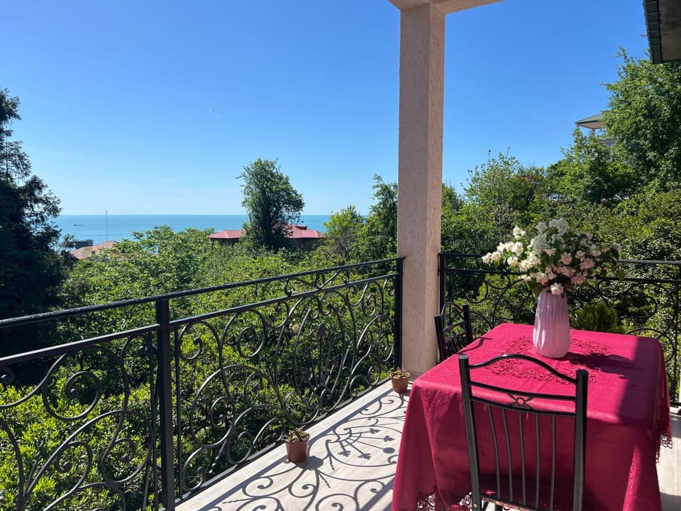Natural landscape, Balcony/Terrace, Dining area