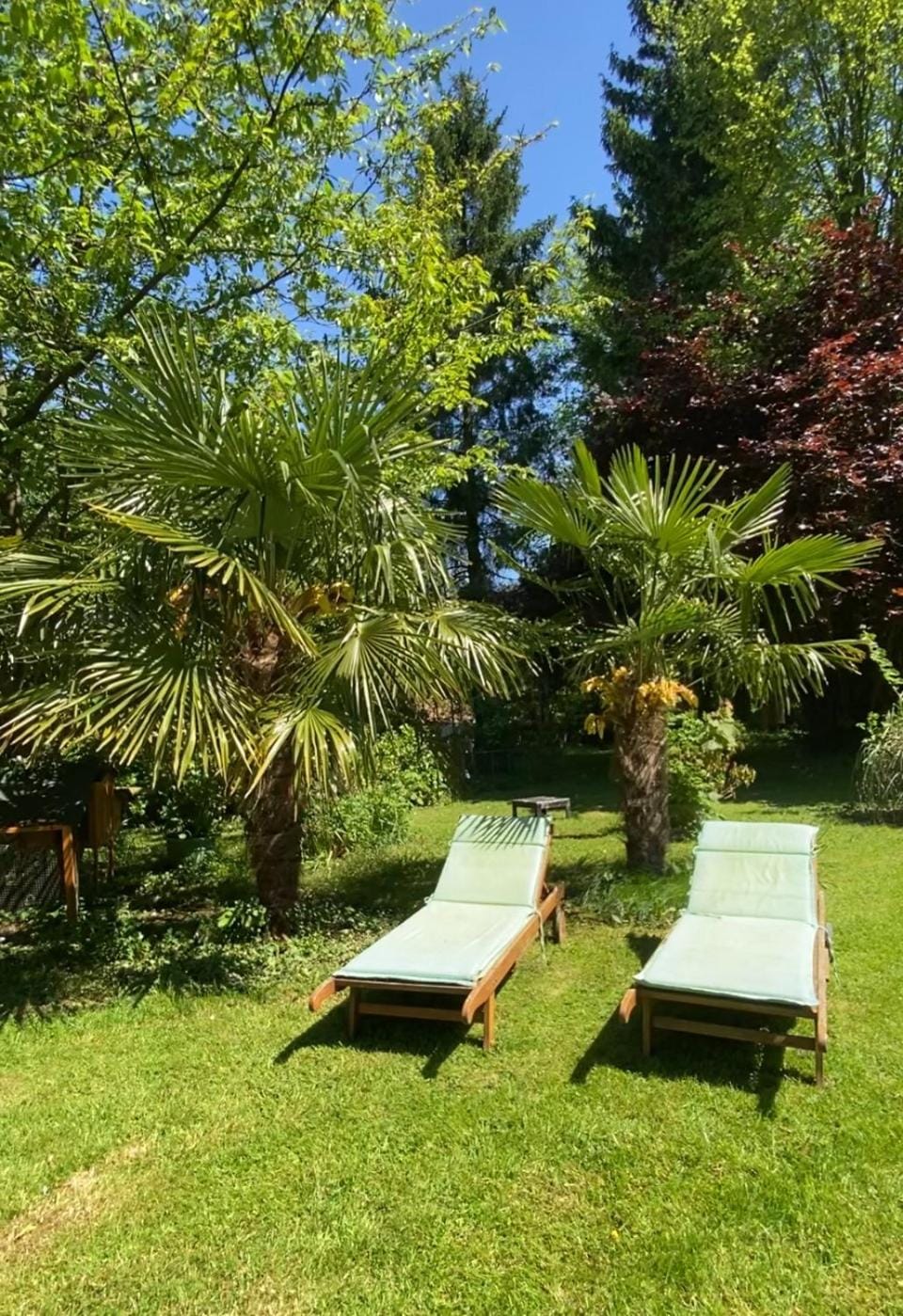 La chambre des écureuils Bed and Breakfast in Normandy