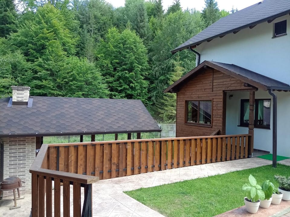 Căsuța din vis-Voroneț House in Romania