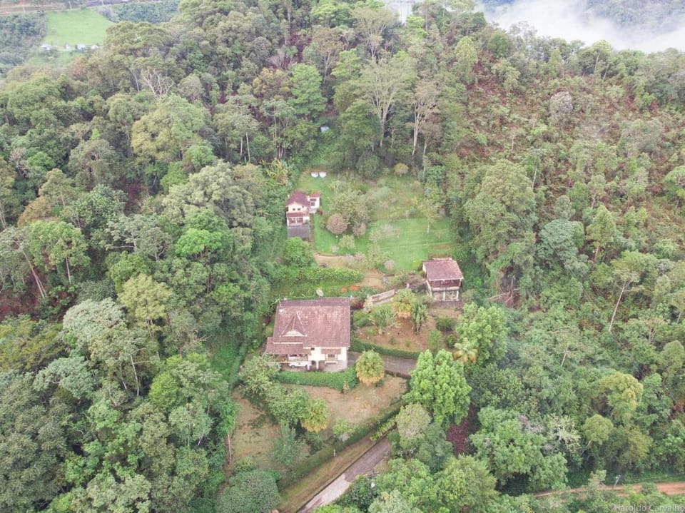 Natural landscape, Bird's eye view, Garden