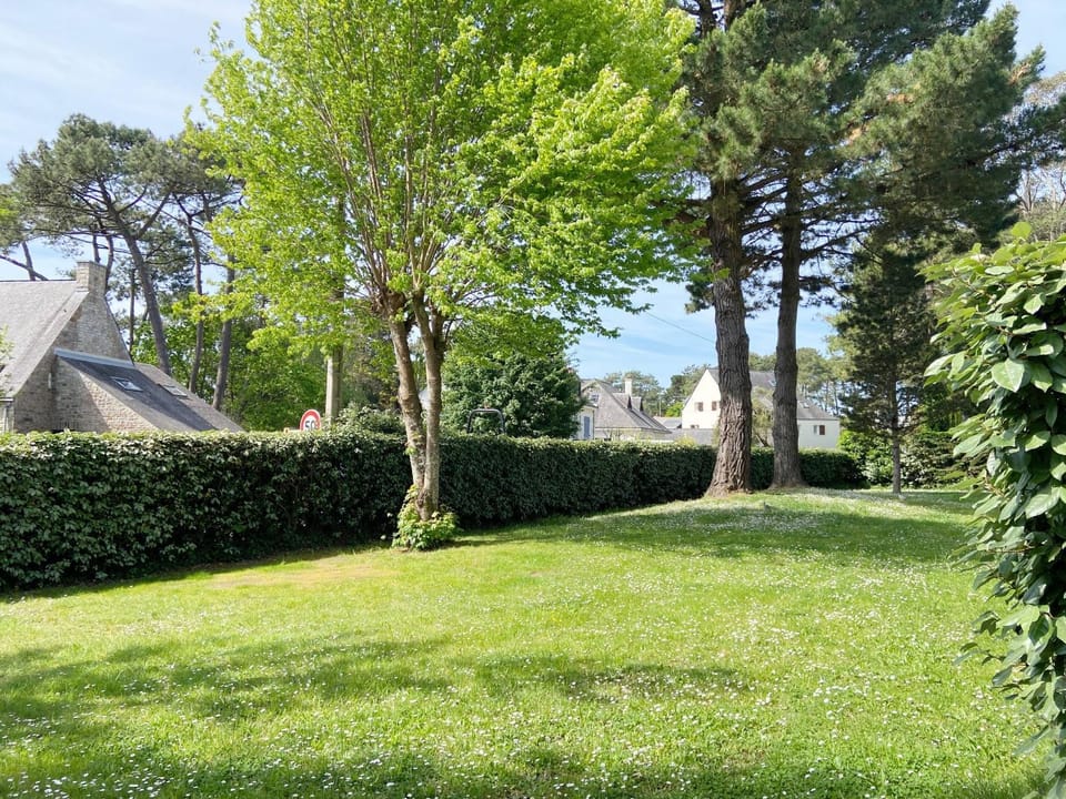 Patio, Garden, Garden view
