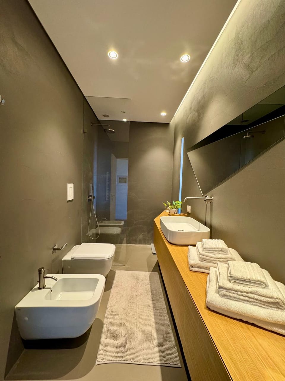 Shower, Toilet, Bathroom, towels