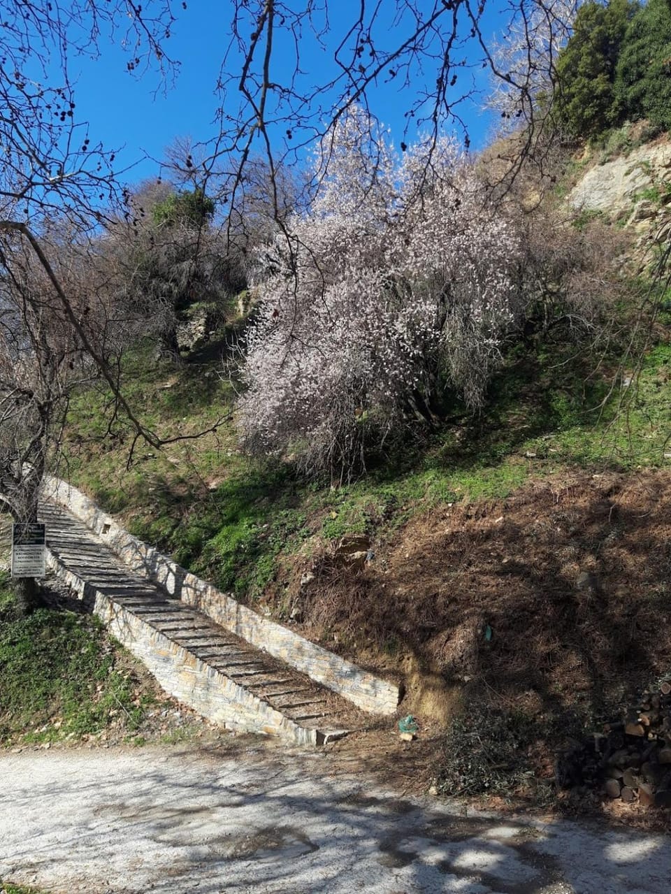 Natural landscape