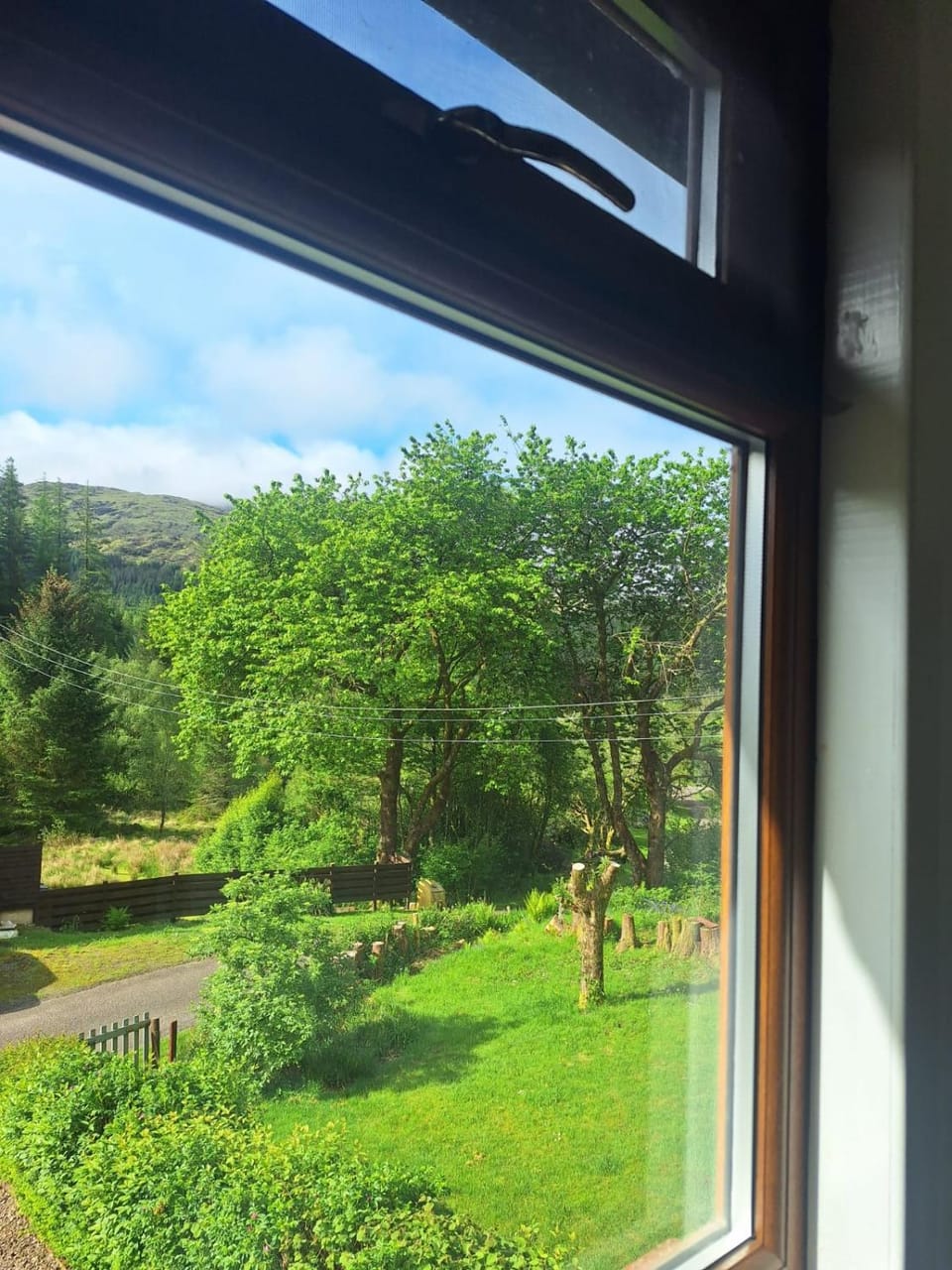 Garden view
