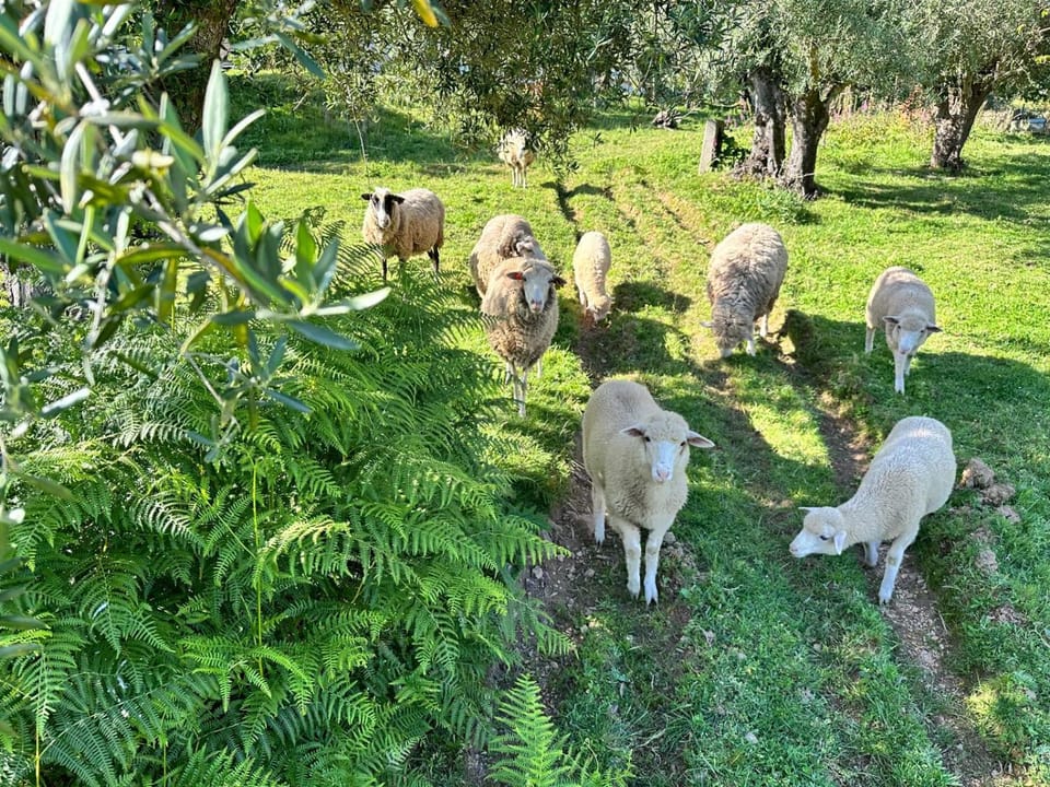 Natural landscape