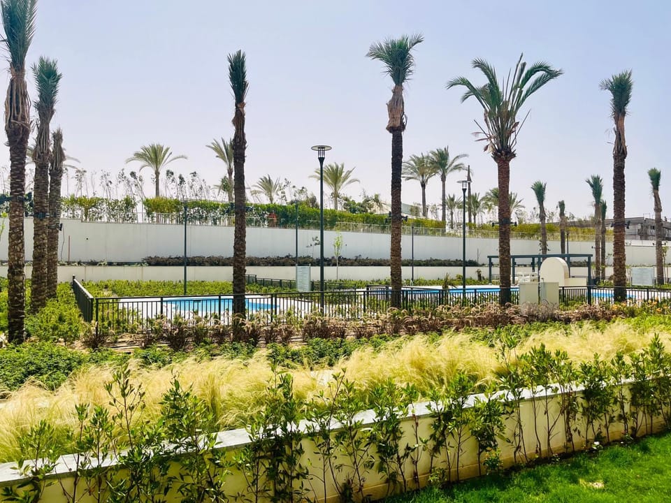 Natural landscape, Garden, Pool view
