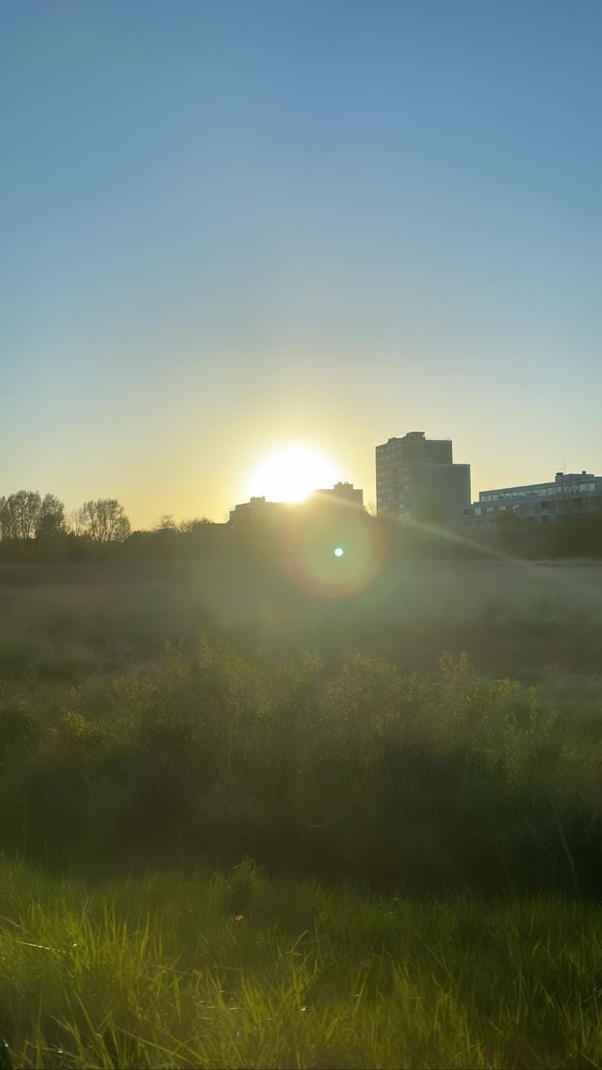 Day, Natural landscape, Sunset