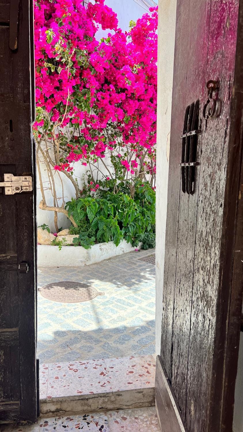 Suite Buganvilla Vejer Apartment in Vejer de la Frontera