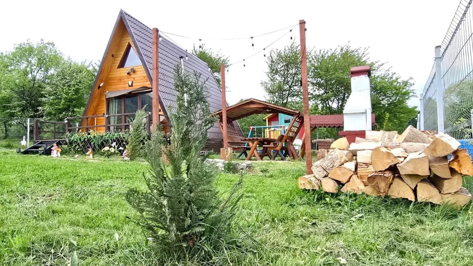 Cabana A-frame Moon Predelut House in Brașov County