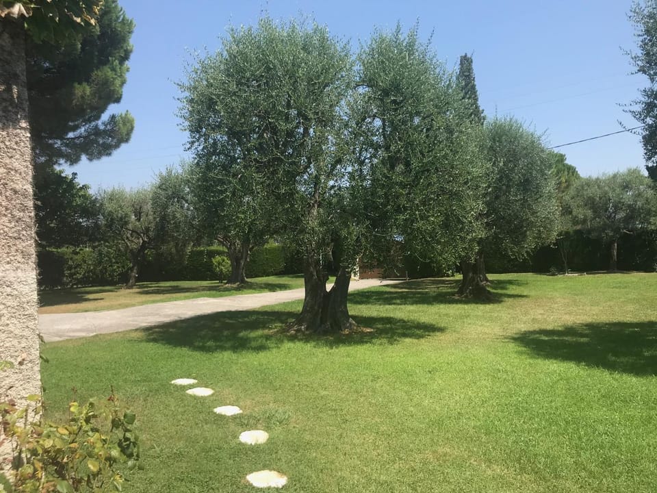 Garden, Garden, Garden view