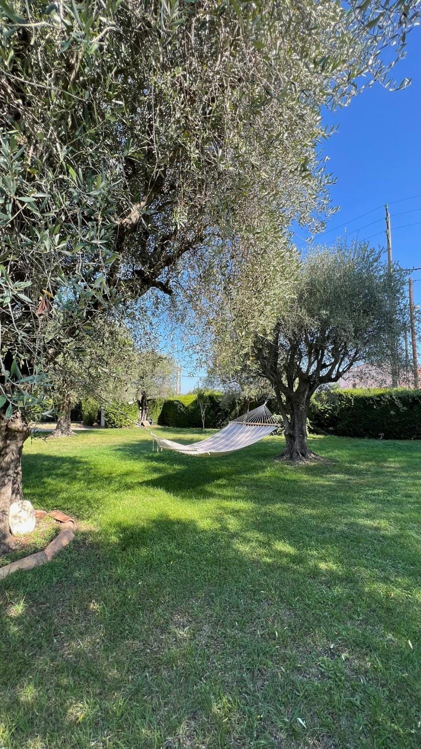 Natural landscape, Garden, Garden, Garden view
