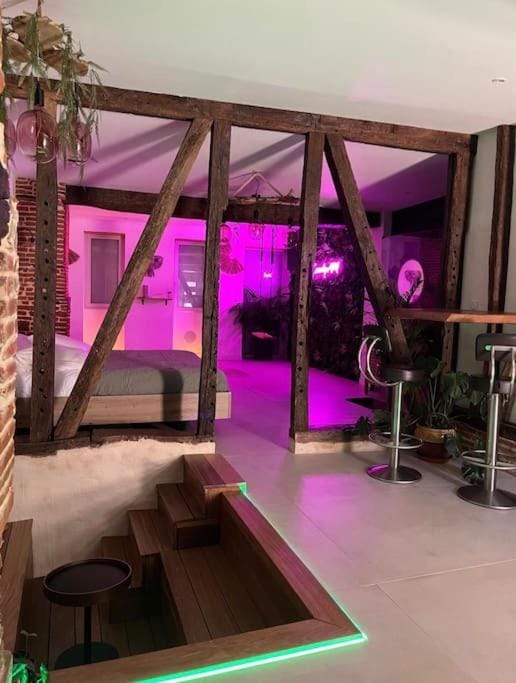 Love Room Toulouse Apartment in Occitanie