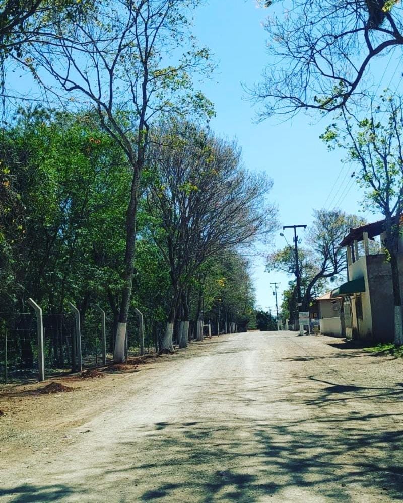 Natural landscape, Street view