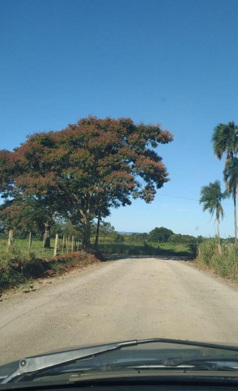 Natural landscape