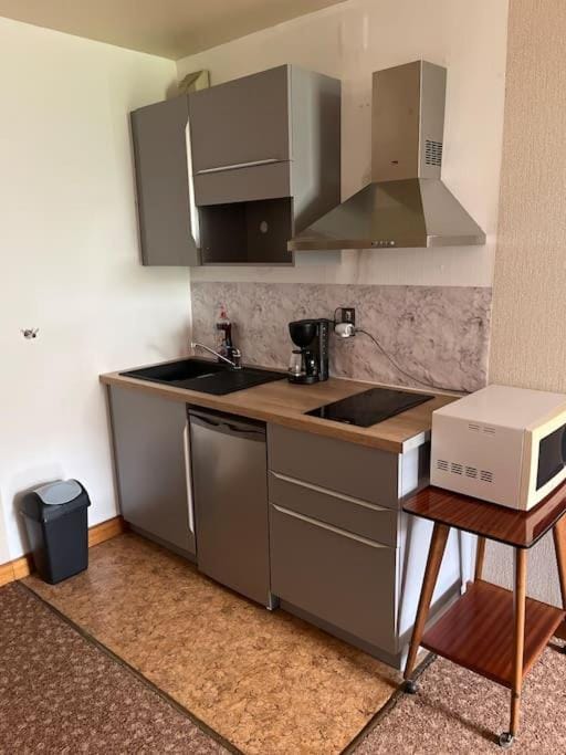 Grand studio proche commerces Apartment in Vosges