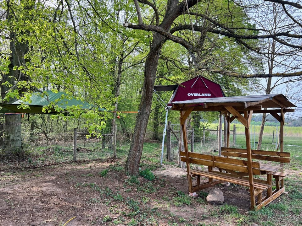 Natural landscape, Dining area