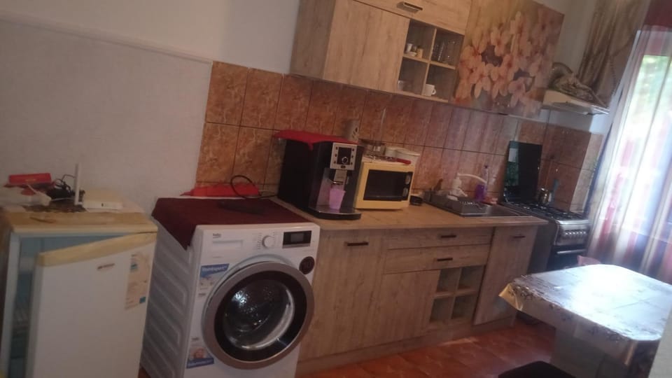 Apartament Ștefania Apartment in Serbia