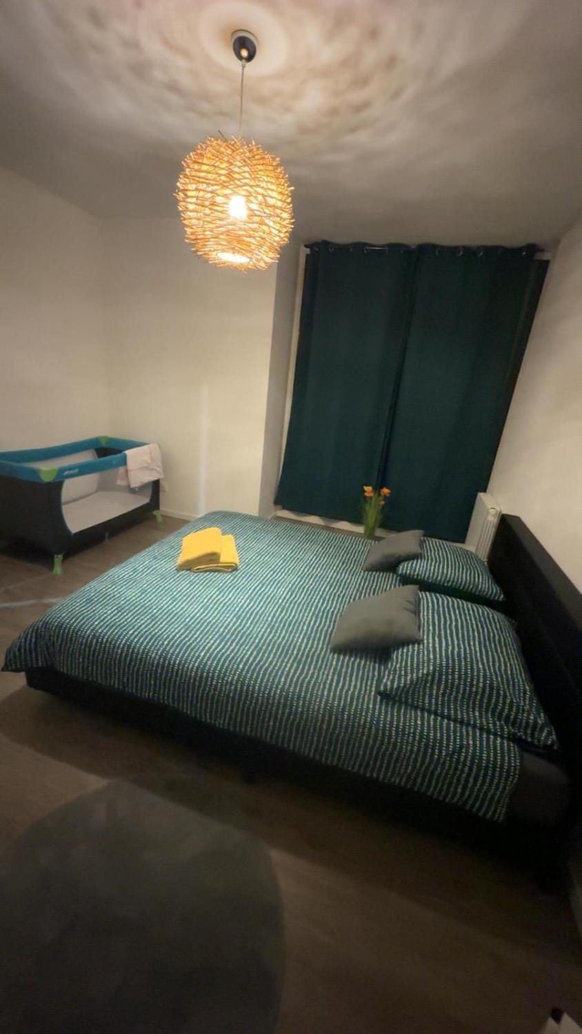 La colmarienne Apartment in Colmar