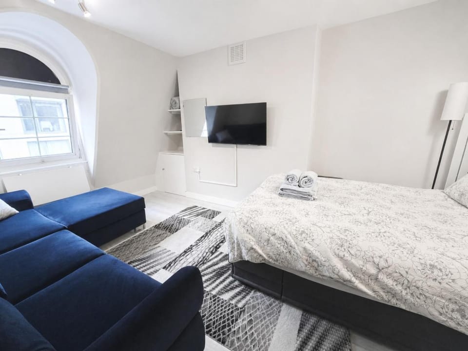 Cosy studio Victoria Apartment in City of Westminster